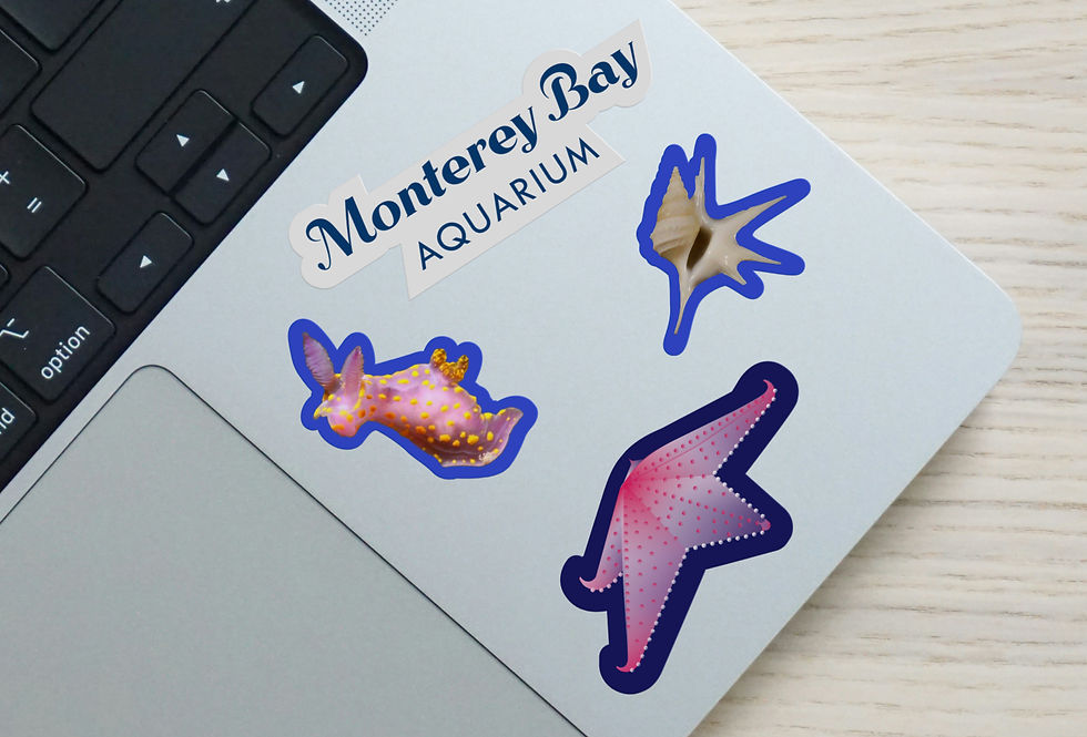 LAPTOP STICKERS_edited.jpg