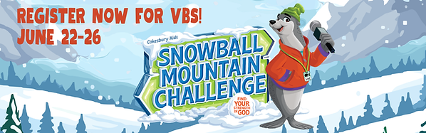 2026 VBS (800 x 300 px) (1).png