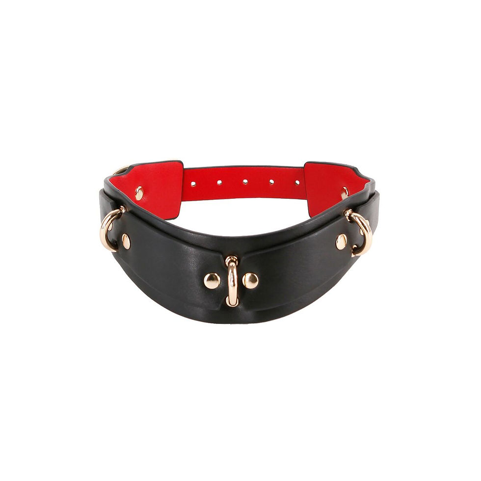 Bestrafungshalsband NS Novelties Fetish & Fashion