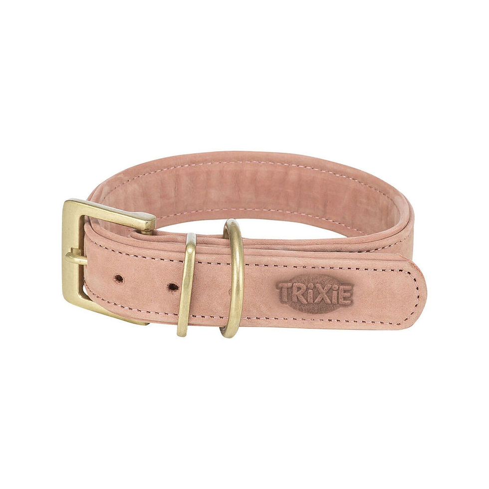 Dog collar Trixie Pure Pink M 36-43 cm