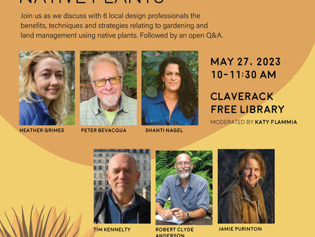 Sustainable Garden Design with Native Plants at the Claverack Library