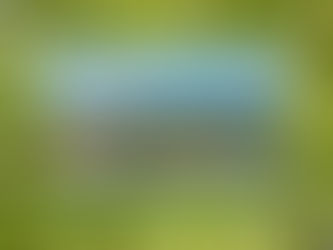 Free Empire Pass for Town Residents!