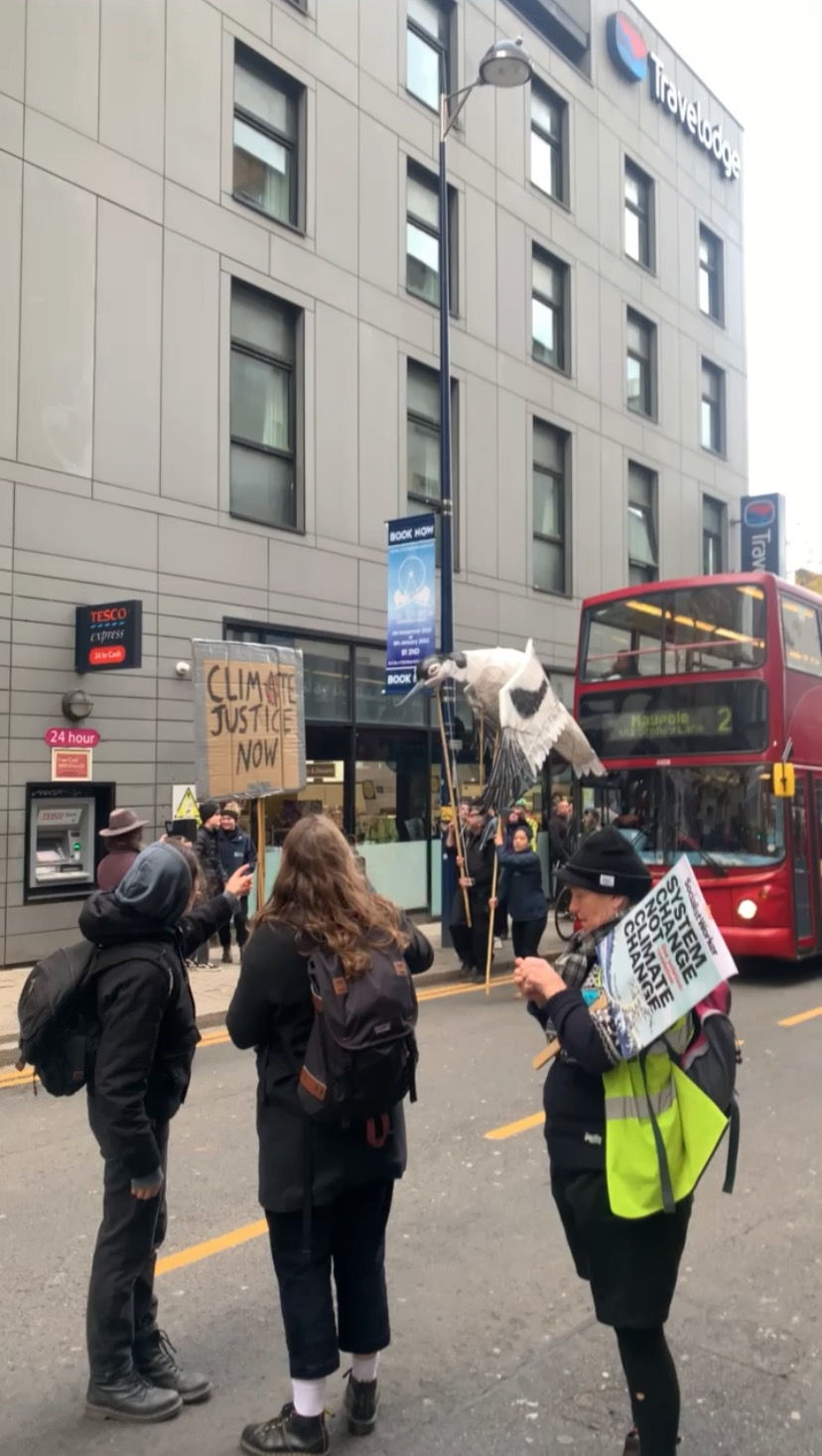 COP 26 and are the youth more concerned about environmental change now more than ever?