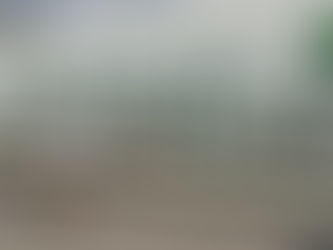 Parque lineal de Pavón alberga carrera atlética por el día de la juventud.