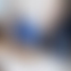  Bocas se suma a acciones institucionales municipales para el Bienestar Animal