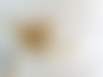 Perro callejero se roba el pastel en plena boda… y termina siendo adoptado por los novios