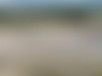 Firme remediación histórica de tiraderos clandestinos por parte del Gobierno Municipal de SLP.