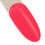 Miniature : 435 Coral Shell - Limited Edition