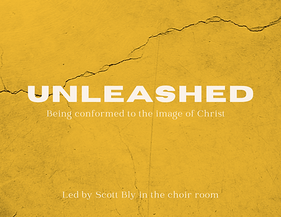 Unleashed (3).png