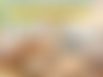 為什麼要定期找消毒公司?因為肉眼看不見的害蟲才最可怕!