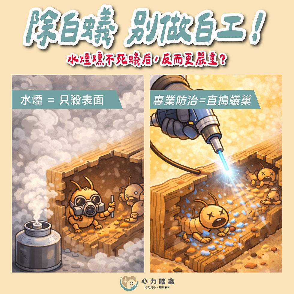 除白蟻別做白工!專業防治,直搗蟻巢