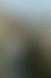 Bride walking down the beach