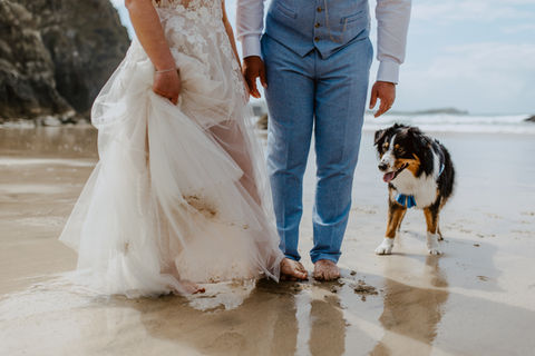 bride and groom with dog at lusty glaze