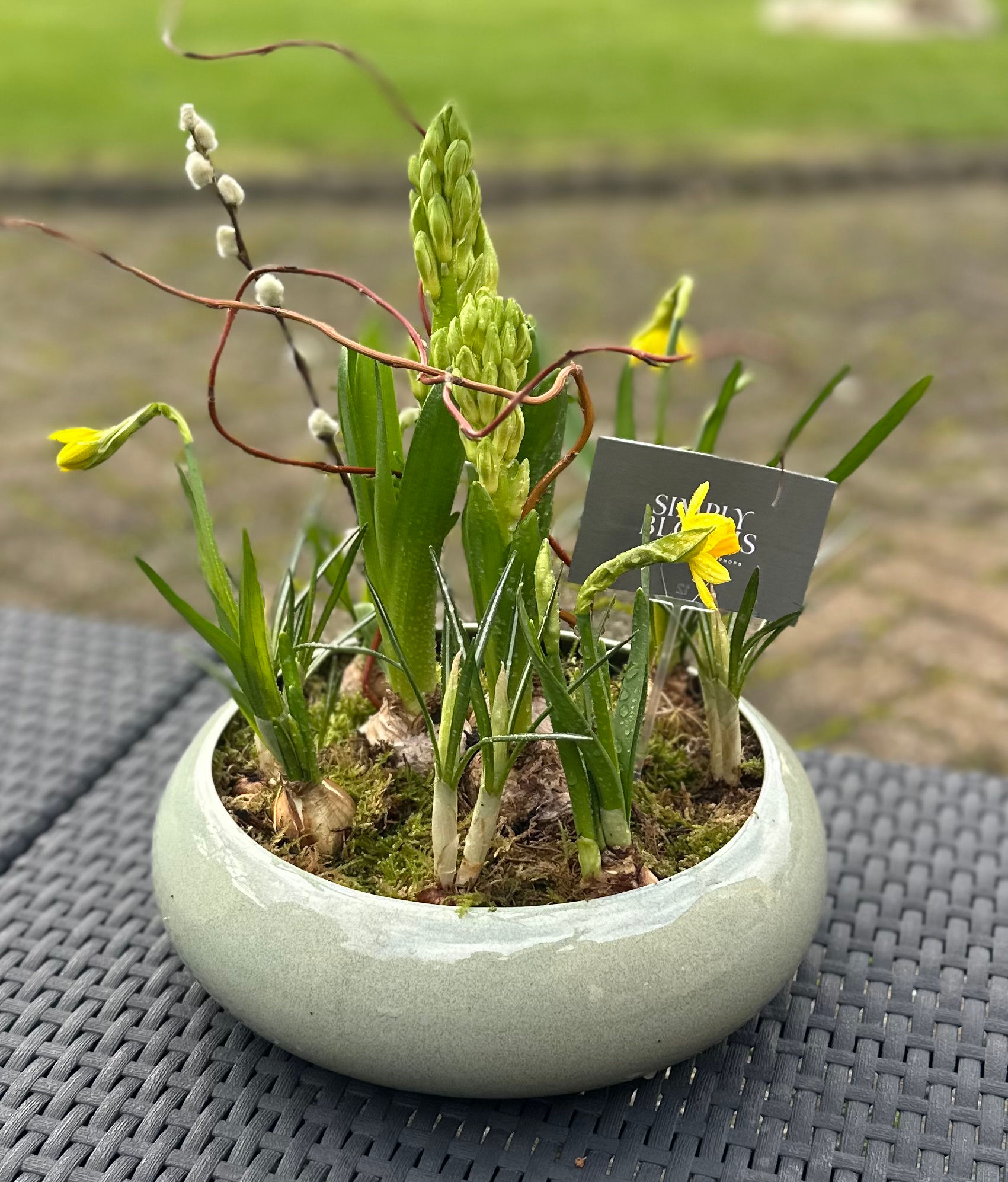 Spring Planted Arrangements