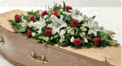 Thumbnail: 5FT Lily & Rose Coffin Spray