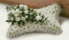 Thumbnail: Classic Pillow 55CM