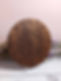 WOTY_AA_Celestial_Sapele_4.jpg