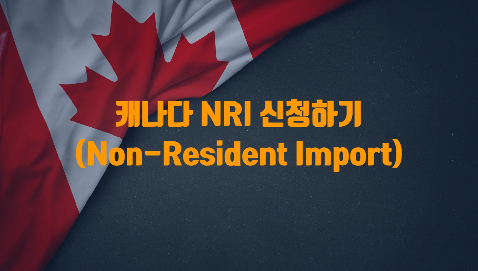 NRI(Non-Resident Importer) 프로그램