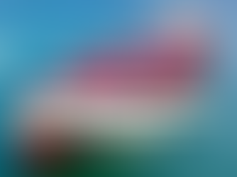 Understanding Canada’s Customs Duty Standard – FOB vs. CIF Explained