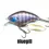 Thumbnail: Chippawa RB Blade