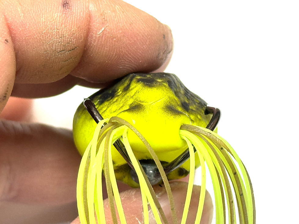 Miniature : BQ Frog