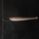 Thumbnail: NISHINE DS HOOK