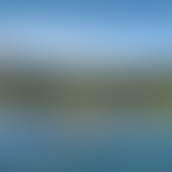 Welcome to our new website!