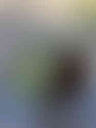 米ぬかと牛糞堆肥で残渣処理作業