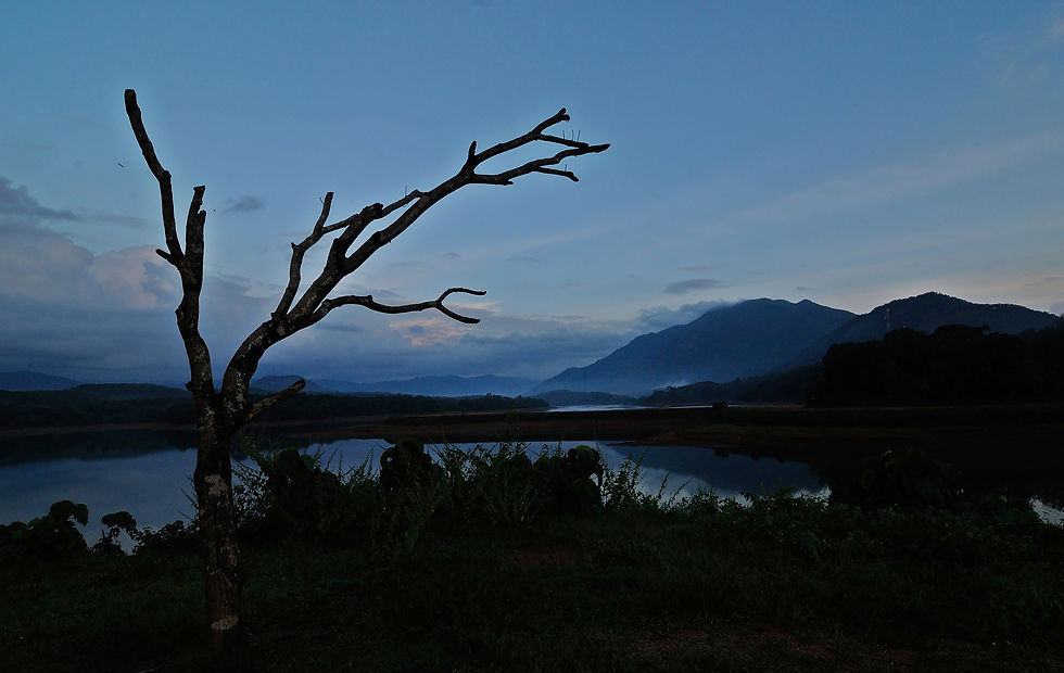 Malankara Reservoir