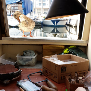 2015-04-08 11.53.14.jpg