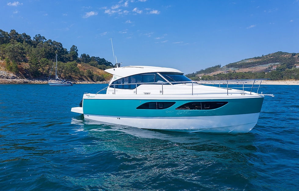 2_Rodman-Spirit-R42_07.jpg
