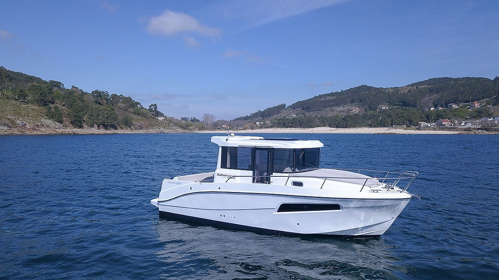 2_Rodman-Spirit-R42_07.jpg