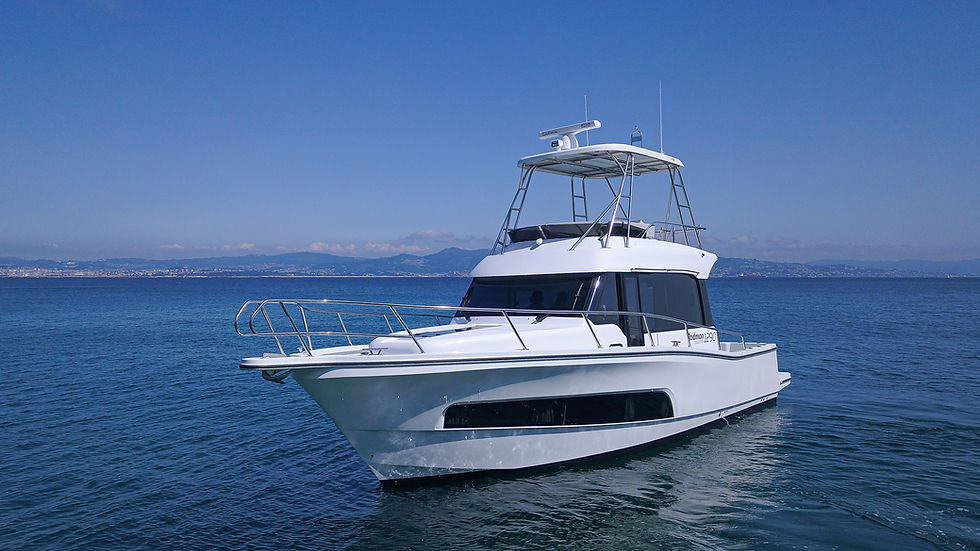 2_Rodman-Spirit-R42_07.jpg