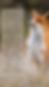 Majestic looking fox with quote text added: Become a possibilitarian. No matter how dark things seem to be or actually are,
raise your sights an see possibilities – always see them, for they are always there. –
Norman Vincent Peale