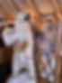 Image (1).jpeg