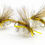 Thumbnail: CFA GOLDEN STONEFLY STIMULATOR