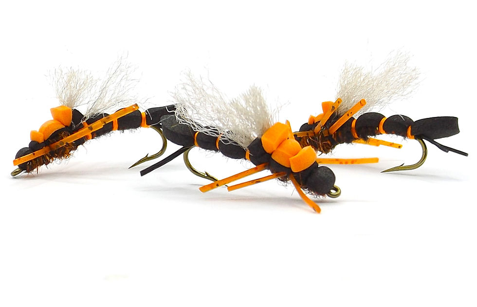 Thumbnail: STEAMROLLER SALMONFLY