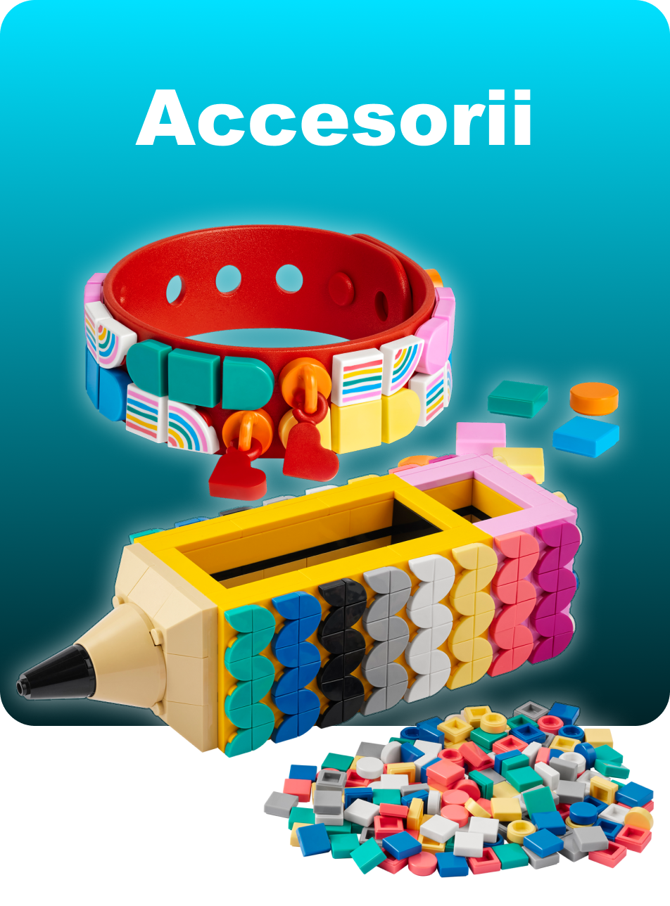 Accessorii