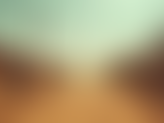 Unraveling Cartel Myths: The Truth Behind the Headlines