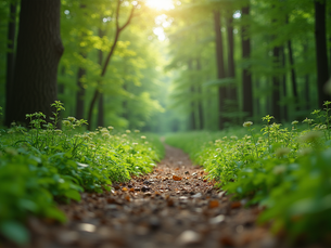 Exploring Psychedelics: Education and Community Building