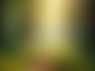 The Importance of Set and Setting in Shaping Psychedelic Experiences