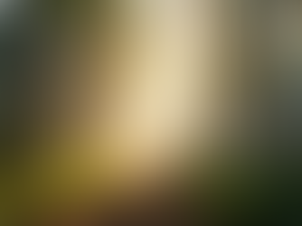 The Importance of Set and Setting in Shaping Your Experience