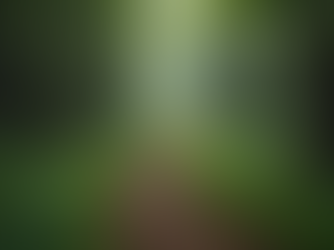 Recovery and Redemption: Exploring the Power of Second Chances in Life