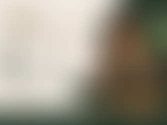 Cada conversa no WhatsApp é uma venda esperando acontecer