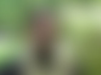 A Shepherd Who Watches From a Distance