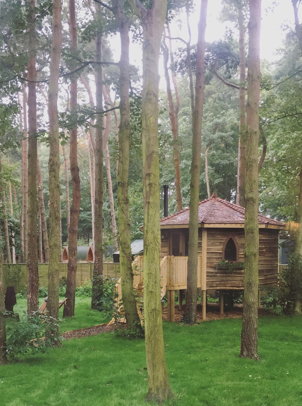 Forest Hideaway
