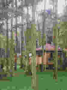 Forest Hideaway
