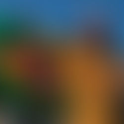 Políticas de vida e morte: necropolítica e os corpos das mulheres indígenas