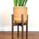 Thumbnail: Medium Mid-Century Modern Plant Stand
