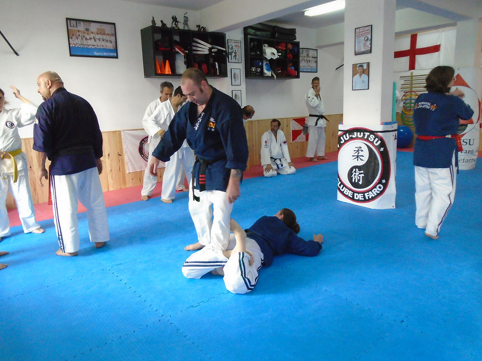 Faro Jiu Jitsu Seminar May 2019